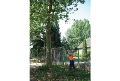 Silky, Stangsav, Hayauchi 6300-6.5. 4-delt