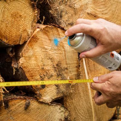 Martens, forstspray, hvid