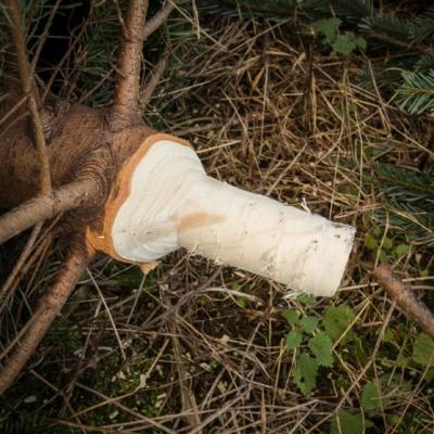 Juletræsspidser Ø40, 380w model TP