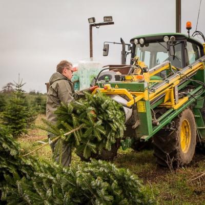 Juletræsnet LZ34 Finmasket Vacunet 10x400m