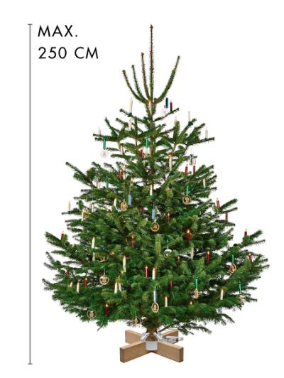 Krinner, Kopenhagen, egetræ/hvid, max Ø12 cm, H 250cm