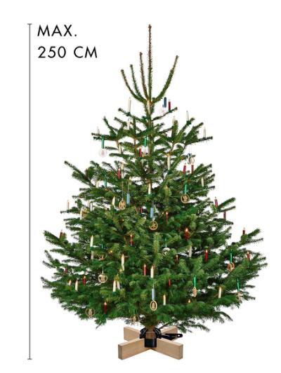 UDGÅET Krinner,Kopenhagen, egetræ/sort, max Ø12 cm, H 250 cm