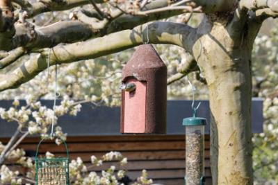 Schwegler, fuglekasse, 2M, træbeton, indgangshul: Ø 26 mm