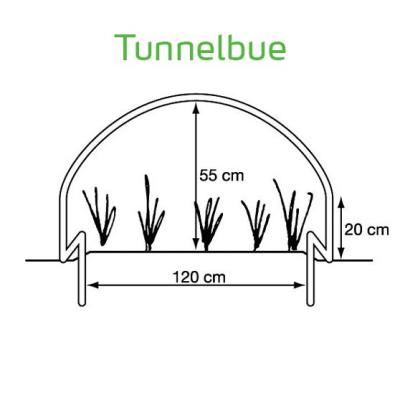 Tunnelbue, Hovednummer