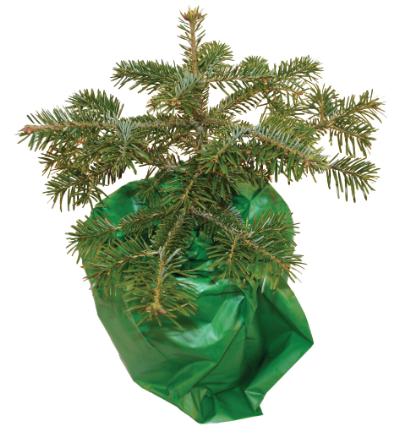 Potteposer, 280/230 X 600 mm, pris pr. kasser à 500 stk., mø