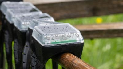 Halsbånd til Kreatur. Monil