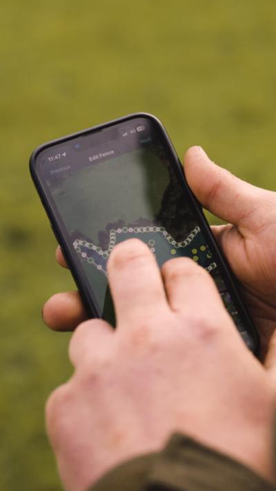 Halsbånd til Kreatur. Monil