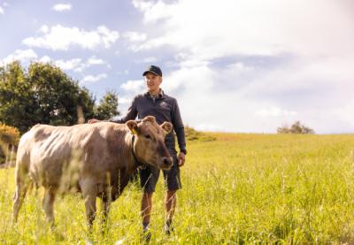 Halsbånd til Kreatur. Monil