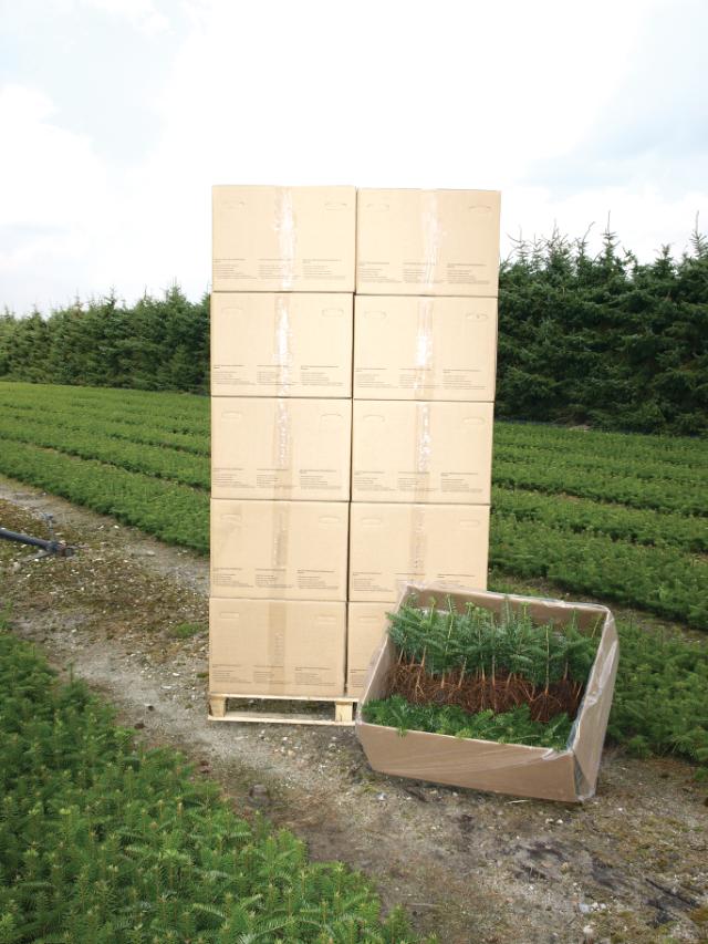 Plantesække og plantekasser