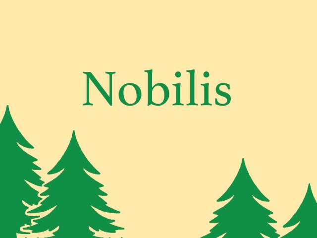 Juletræsbanner  Nobilis 60X80cm polyester