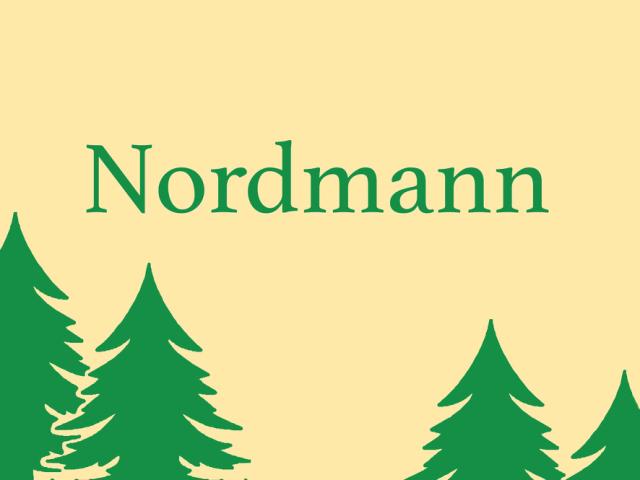 Juletræsbanner  Nordmann 60X80cm polyester