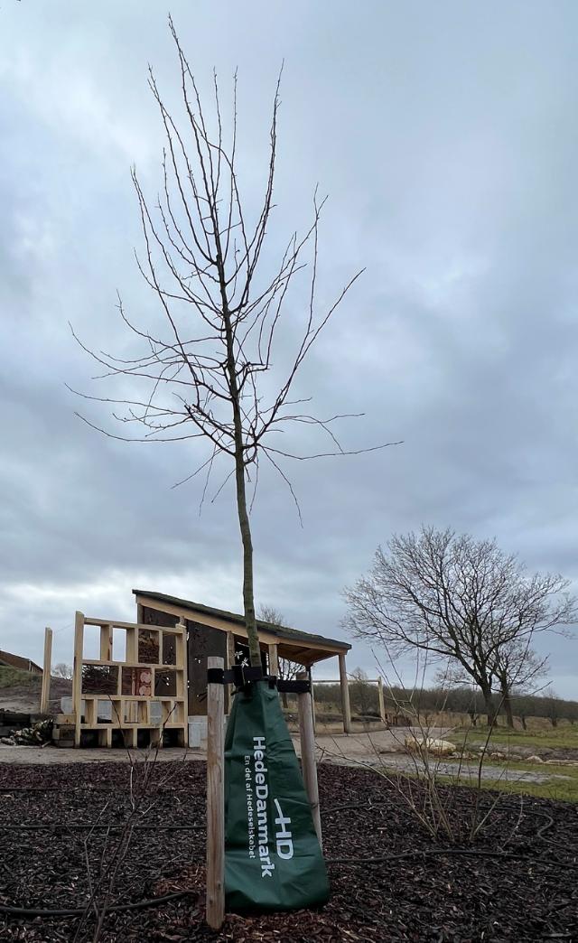 Vandingspose, 75 L, m/Hededanmark logo, (600 pr. palle), sty